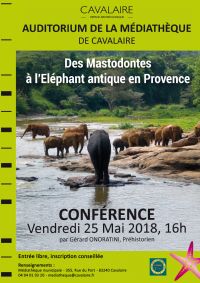 Conférence : des mastodontes à l'éléphant antique de Provence par Gérard ONORATINI. Le vendredi 25 mai 2018 à cavalaire sur mer. Var. 